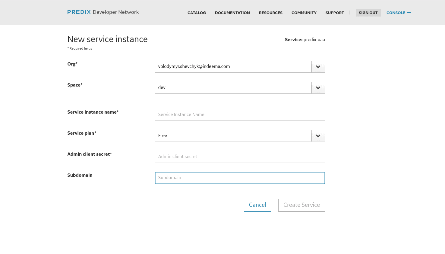 New service instance Predix