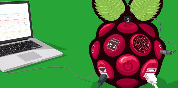 Raspberry Pi Microcomputers: the Icing on the IoT Cake