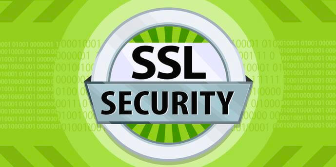 SSL certicates: Their Purpose and Assortment