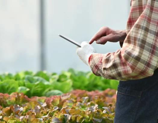 6 Real-World Examples of IoT Mobile Apps and a Case Study