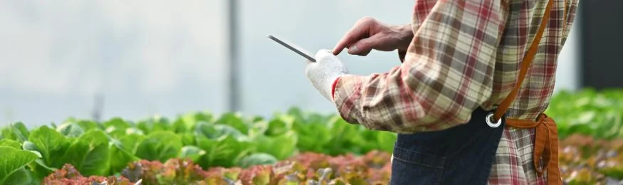 Ideas for IoT Mobile Apps: 6 Examples and a Case Study | Indeema Software Ideas for IoT Mobile Apps: 6 Examples and a Case Study | Indeema Software